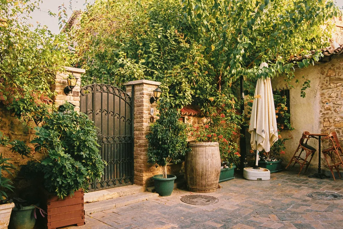 Designing a Small Courtyard Garden for Year-Round Interest